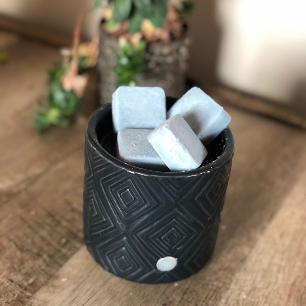 CARIBBEAN TEAKWOOD wax melts